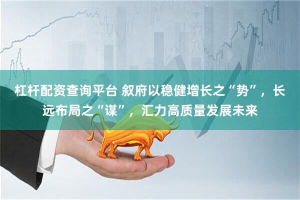 杠杆配资查询平台 叙府以稳健增长之“势”，长远布局之“谋”，汇力高质量发展未来